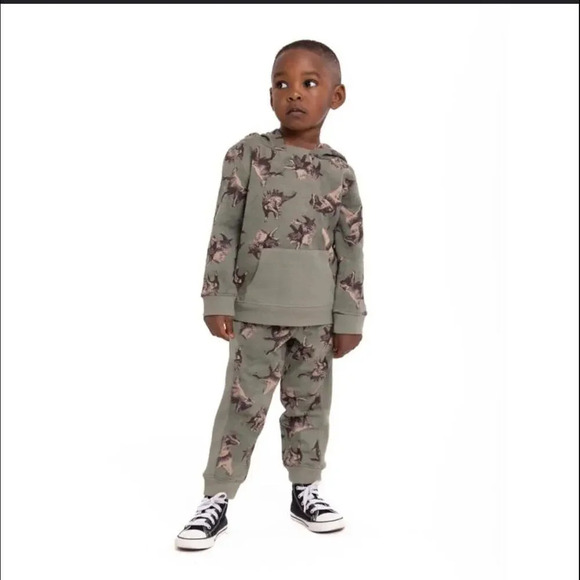 Wonder Nation Toddler Boy Hoodie and Joggers Set 2-Piece Size 12m Green Dino - Picture 2 of 14